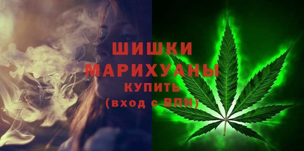 шишки Гусь-Хрустальный
