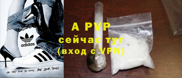 шишки Гусь-Хрустальный