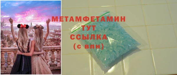 шишки Гусь-Хрустальный