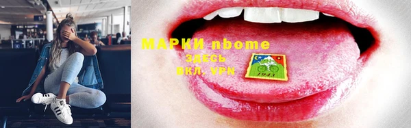 шишки Гусь-Хрустальный