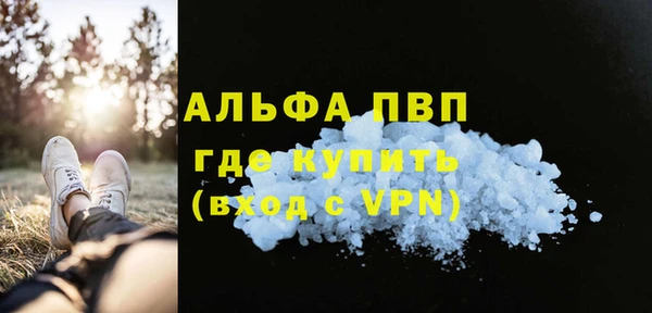 шишки Гусь-Хрустальный