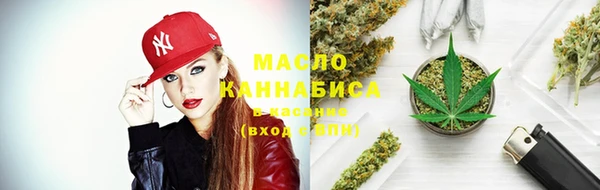 шишки Гусь-Хрустальный