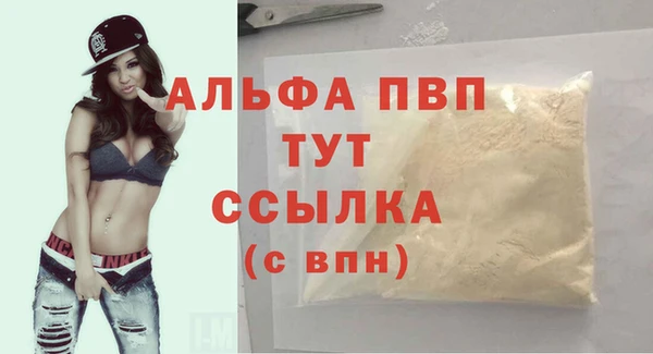 прущие крисы Гусев