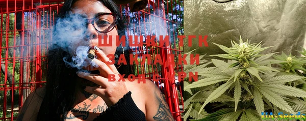 шишки Гусь-Хрустальный