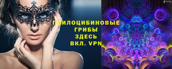 прущие крисы Гусев