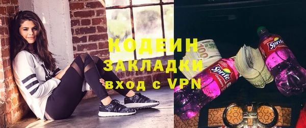 шишки Гусь-Хрустальный