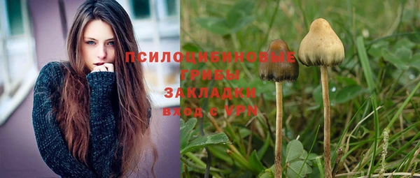 прущие крисы Гусев