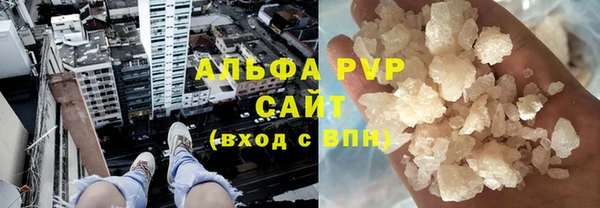 шишки Гусь-Хрустальный