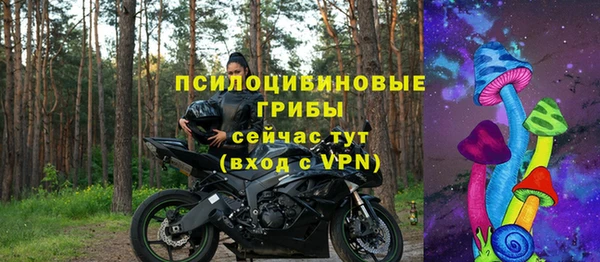 соль ск Гусиноозёрск