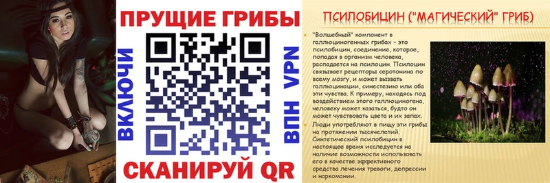закладка  Похвистнево  Галлюциногенные грибы MAGIC MUSHROOMS 